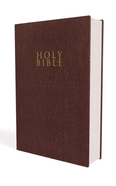 NIV Journaling Bible