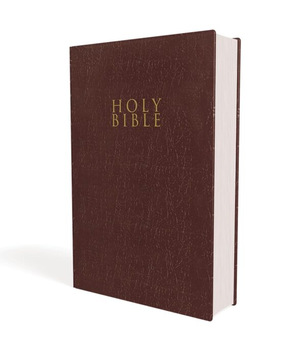 NIV Journaling Bible