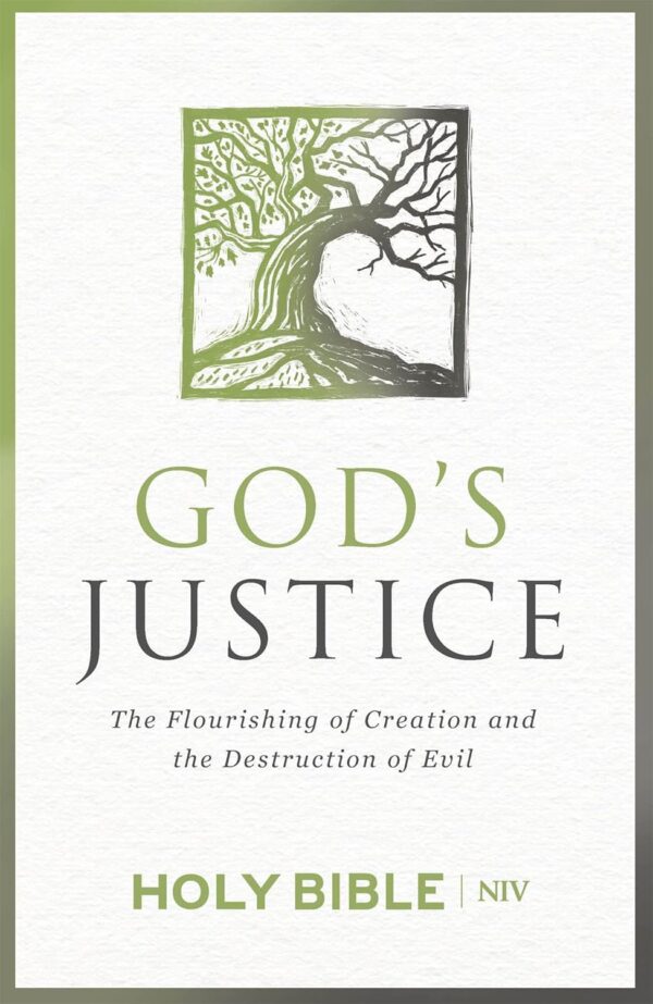 God'S Justice Bible