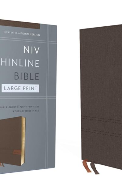 Holy Bible: New International Version, Thinline, Gray, Flexcover, Red Letter, Comfort Print