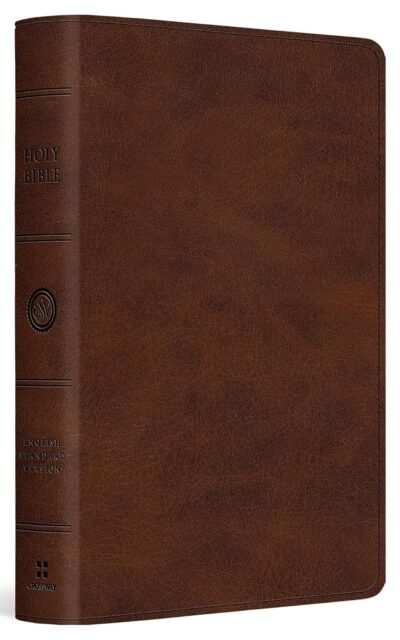 The Holy Bible: English Standard Version, Large Print, Trutone, Deep Brown