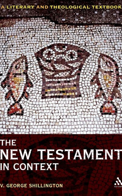 The New Testament in Context: A Literary and Theological Textbook