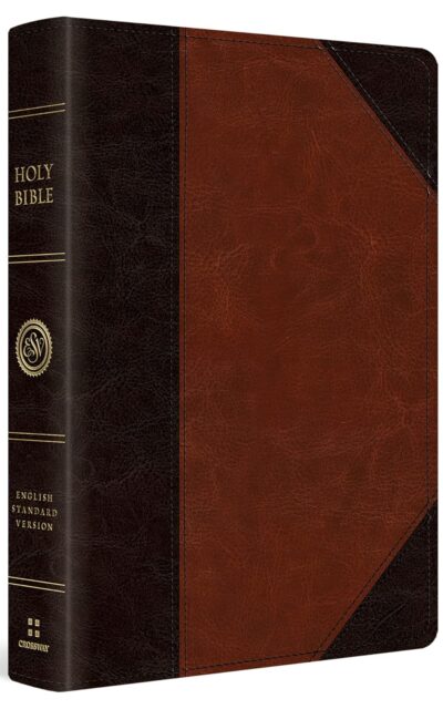 ESV Large Print Wide Margin Bible (Trutone, Brown/Cordovan, Portfolio Design)