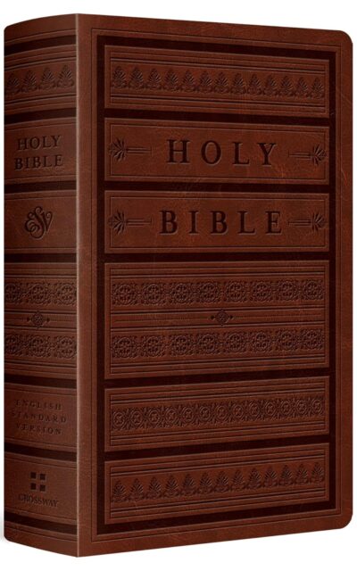 Holy Bible: English Standard Version, Brown, Engraved Mantel, Trutone, Personal Size