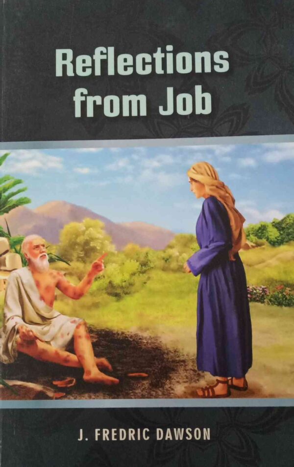 Reflections from  Job
