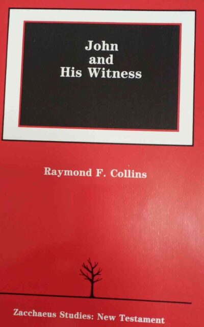 John and His Witness (Michael Glazier Books)