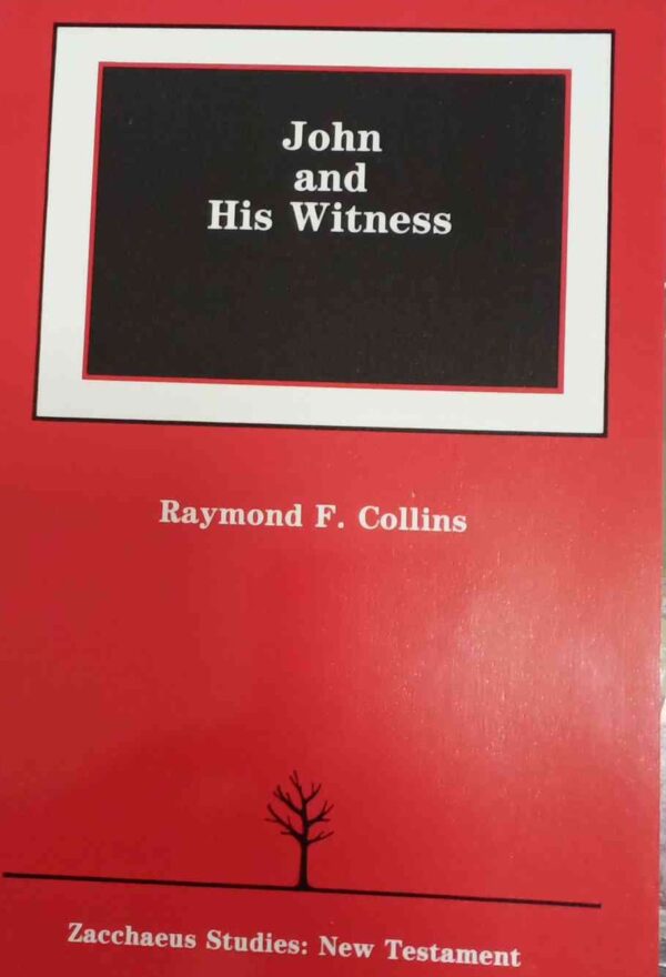 John and His Witness (Michael Glazier Books)
