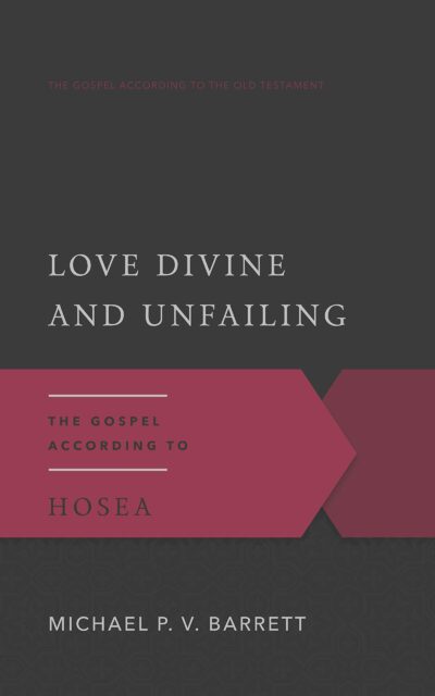 Love Divine and Unfailing Love Divine And Unfailing (Biblical Studies)